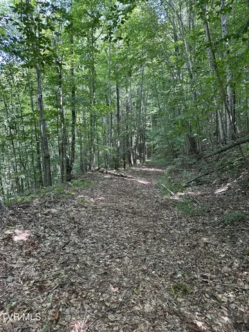 $1,800,000 | Tbd Retriever Lane, Haysi, VA 24256