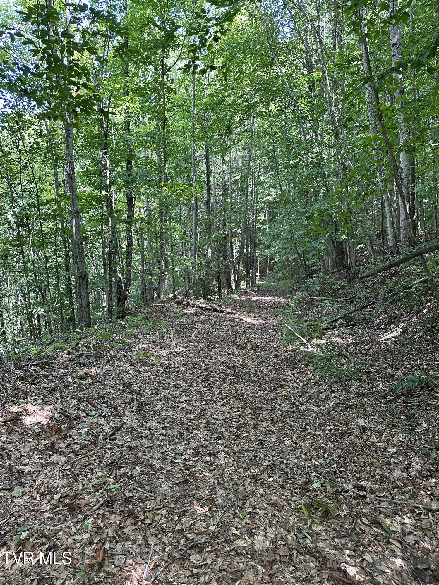 Tbd Retriever Lane Haysi, VA 24256 - Photo 4 of 41 3