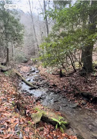 $1,800,000 | Tbd Retriever Lane, Haysi, VA 24256