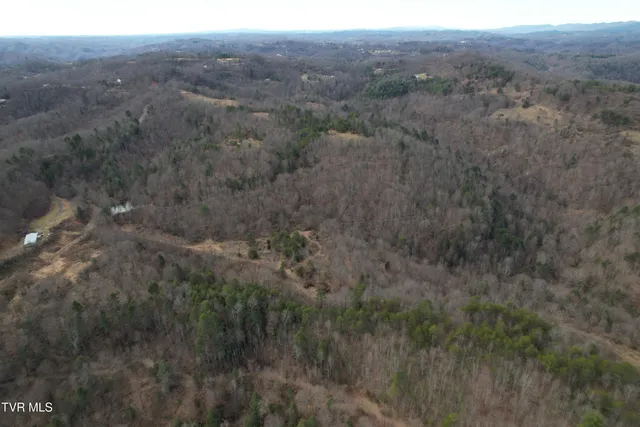 $1,800,000 | Tbd Retriever Lane, Haysi, VA 24256