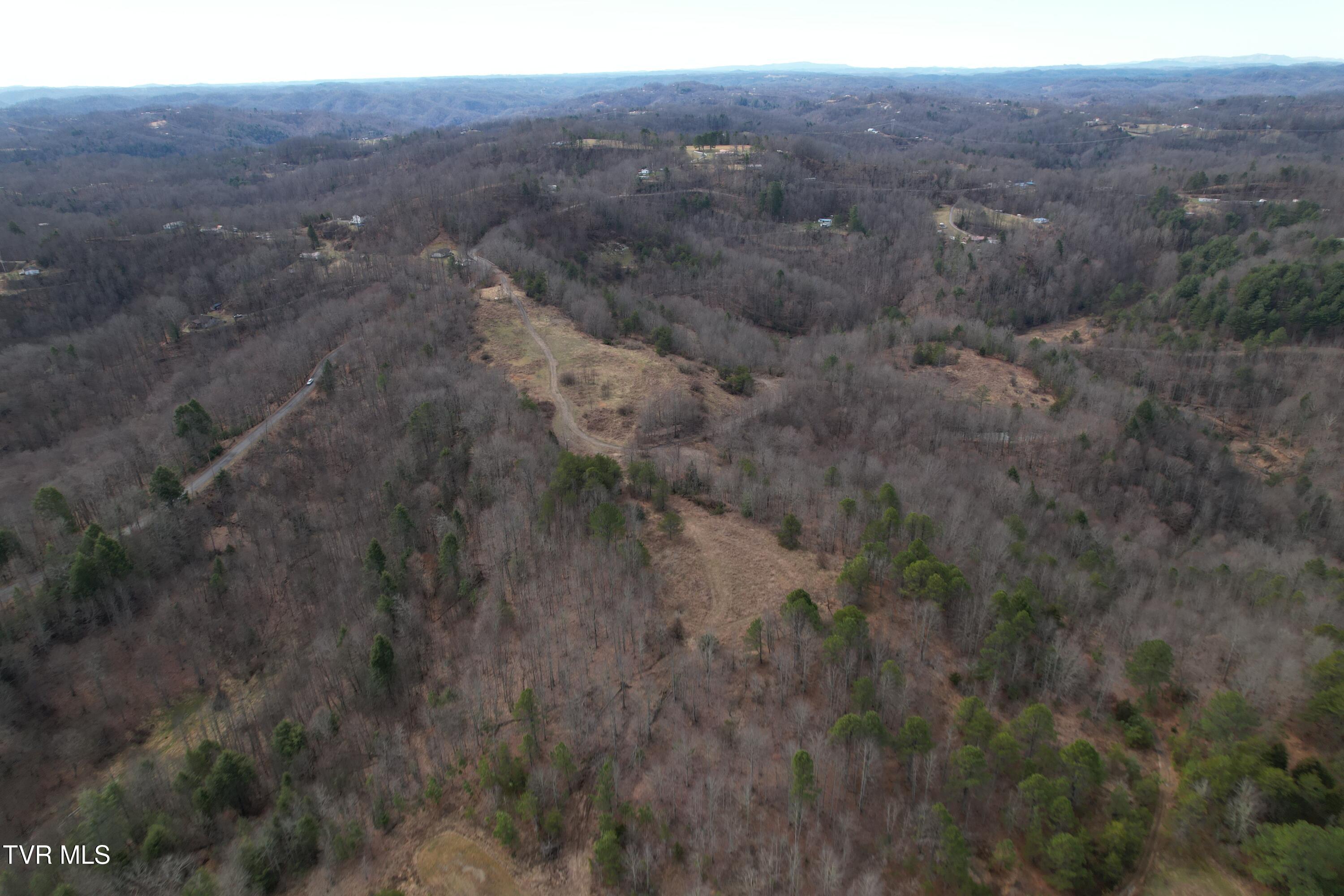 Tbd Retriever Lane Haysi, VA 24256 - Photo 9 of 41 DJI_0127