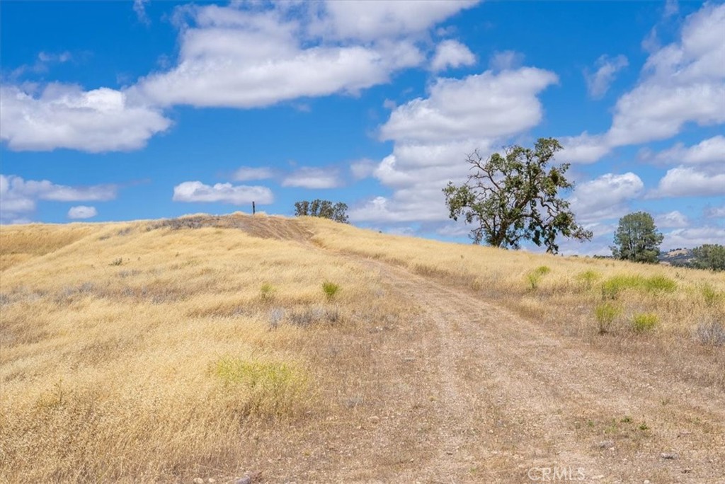 76846 Ranchita Canyon Road San Miguel, CA 93451 - Photo 46 of 51 a view of a yard with trees in the background