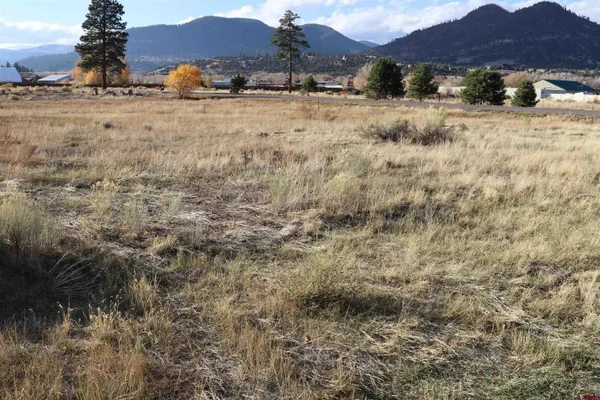 a view of a dry yard with mountains and a houses