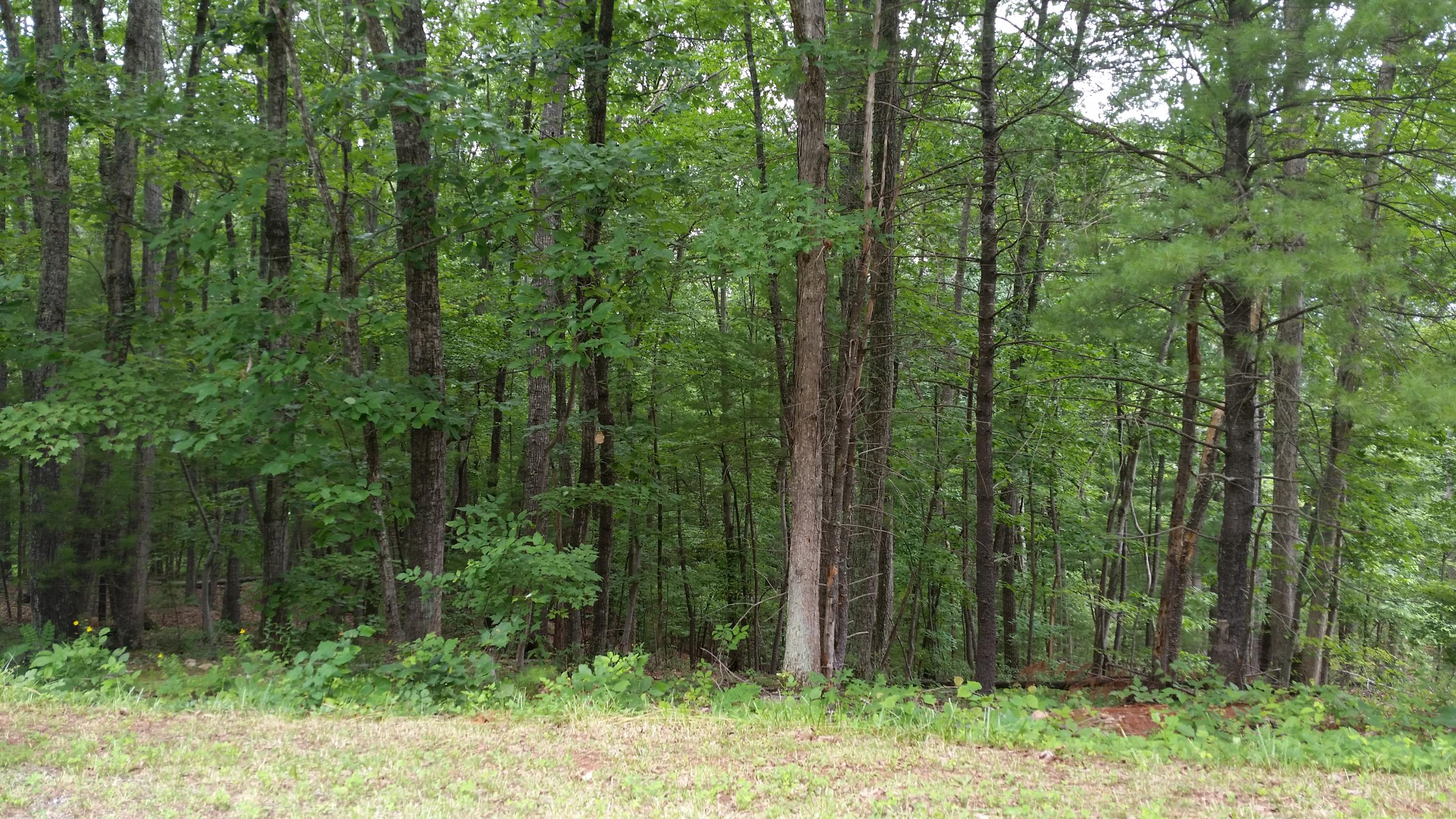 0 Harmony Road Boones Mill, VA 24065 - Photo 1 of 6 Main