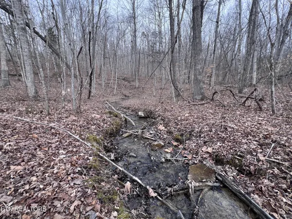 $79,900 | 0 Buffalo Cove Lane, Jamestown, TN 38556