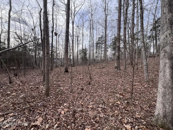 $79,900 | 0 Buffalo Cove Lane, Jamestown, TN 38556