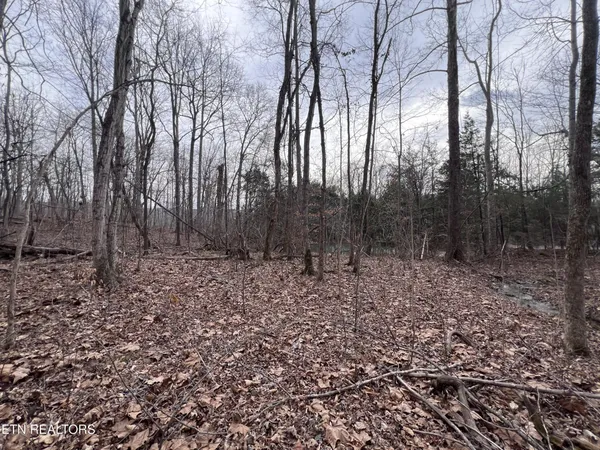 $79,900 | 0 Buffalo Cove Lane, Jamestown, TN 38556