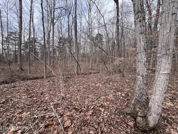 $79,900 | 0 Buffalo Cove Lane, Jamestown, TN 38556