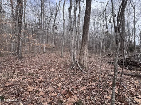 $79,900 | 0 Buffalo Cove Lane, Jamestown, TN 38556