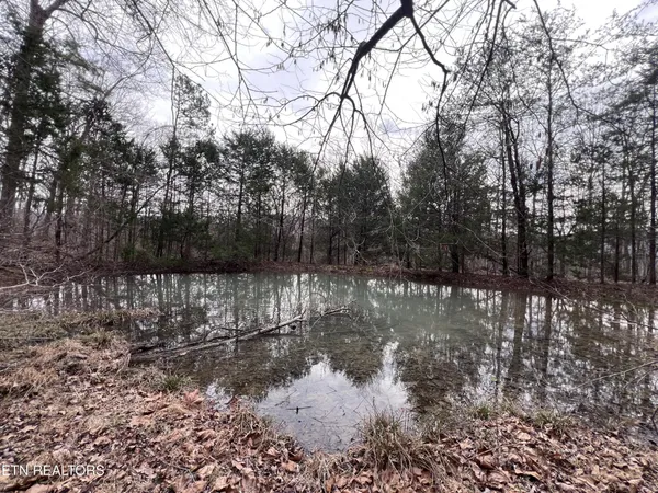 $79,900 | 0 Buffalo Cove Lane, Jamestown, TN 38556