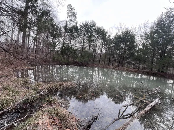 $79,900 | 0 Buffalo Cove Lane, Jamestown, TN 38556