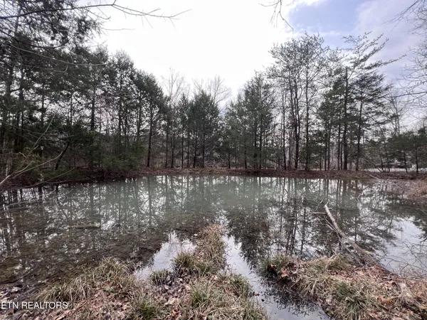 $79,900 | 0 Buffalo Cove Lane, Jamestown, TN 38556