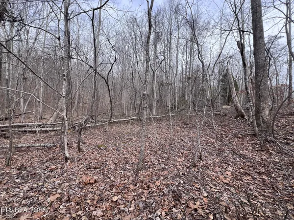 $79,900 | 0 Buffalo Cove Lane, Jamestown, TN 38556