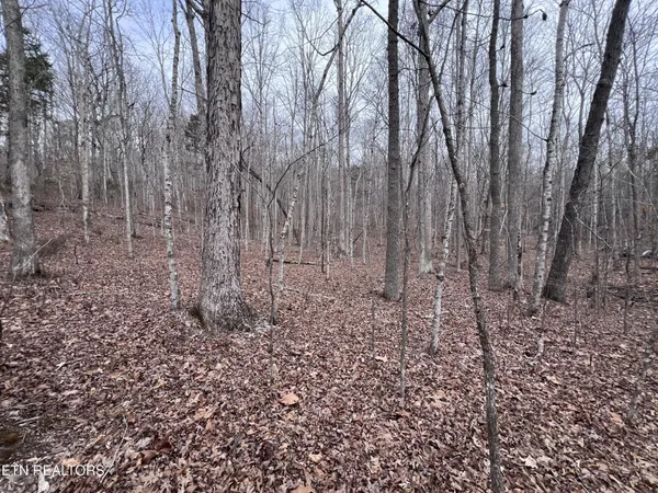 $79,900 | 0 Buffalo Cove Lane, Jamestown, TN 38556