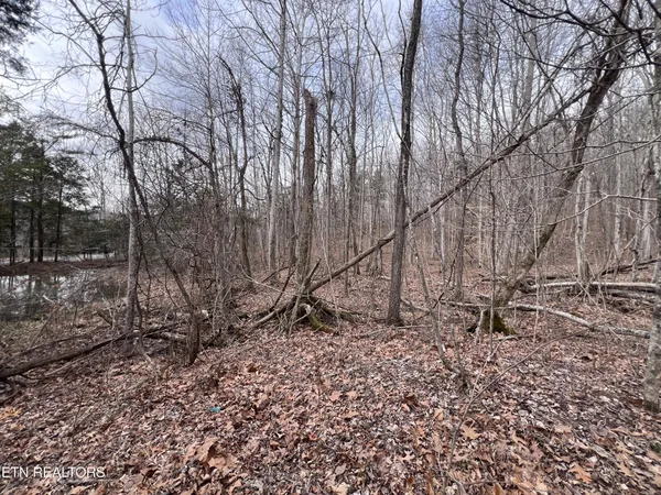 $79,900 | 0 Buffalo Cove Lane, Jamestown, TN 38556