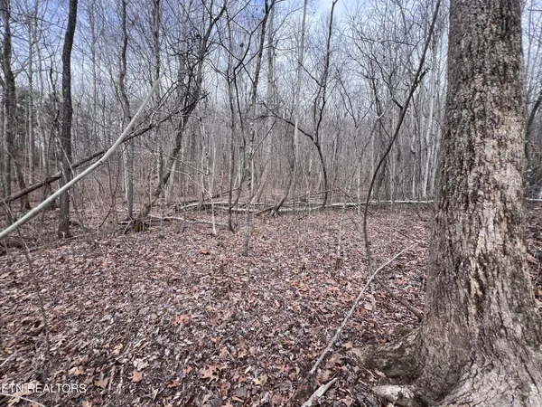 $79,900 | 0 Buffalo Cove Lane, Jamestown, TN 38556