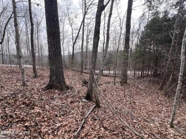 $79,900 | 0 Buffalo Cove Lane, Jamestown, TN 38556