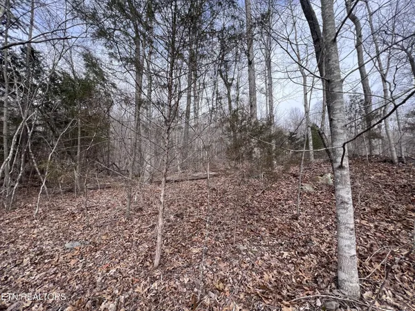 $79,900 | 0 Buffalo Cove Lane, Jamestown, TN 38556