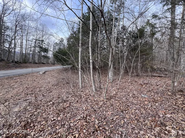 $79,900 | 0 Buffalo Cove Lane, Jamestown, TN 38556