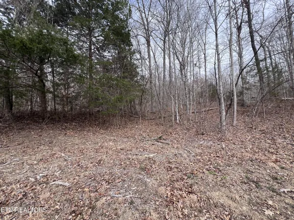$79,900 | 0 Buffalo Cove Lane, Jamestown, TN 38556