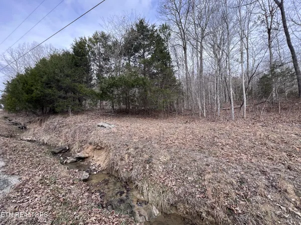 $79,900 | 0 Buffalo Cove Lane, Jamestown, TN 38556