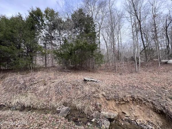 $79,900 | 0 Buffalo Cove Lane, Jamestown, TN 38556