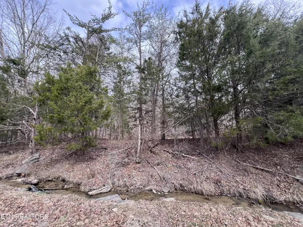 $79,900 | 0 Buffalo Cove Lane, Jamestown, TN 38556