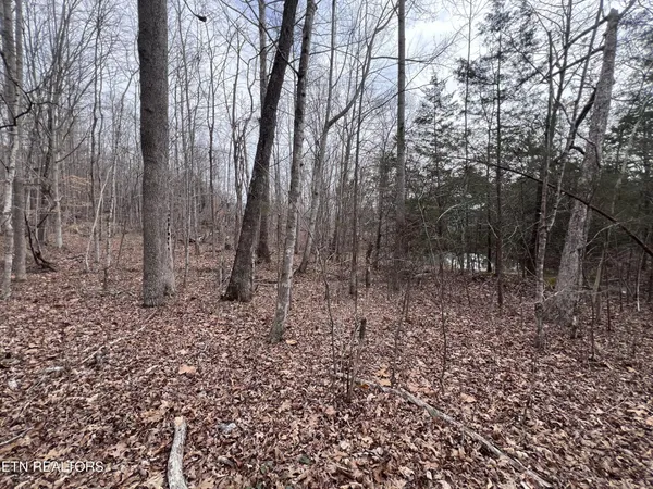 $79,900 | 0 Buffalo Cove Lane, Jamestown, TN 38556