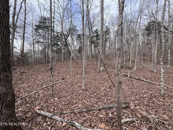 $79,900 | 0 Buffalo Cove Lane, Jamestown, TN 38556