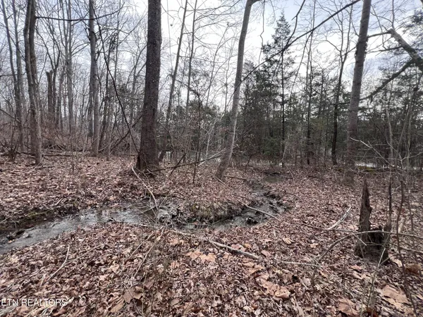 $79,900 | 0 Buffalo Cove Lane, Jamestown, TN 38556