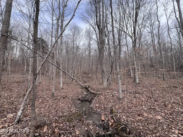 $79,900 | 0 Buffalo Cove Lane, Jamestown, TN 38556