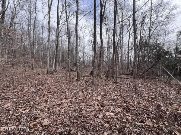 $79,900 | 0 Buffalo Cove Lane, Jamestown, TN 38556