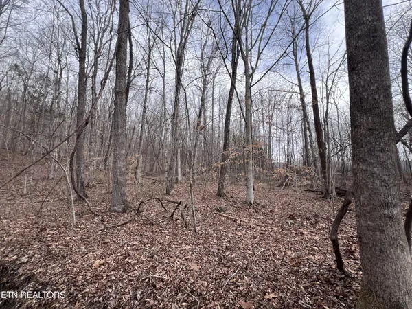 $79,900 | 0 Buffalo Cove Lane, Jamestown, TN 38556