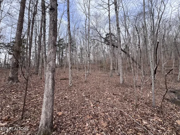 $79,900 | 0 Buffalo Cove Lane, Jamestown, TN 38556