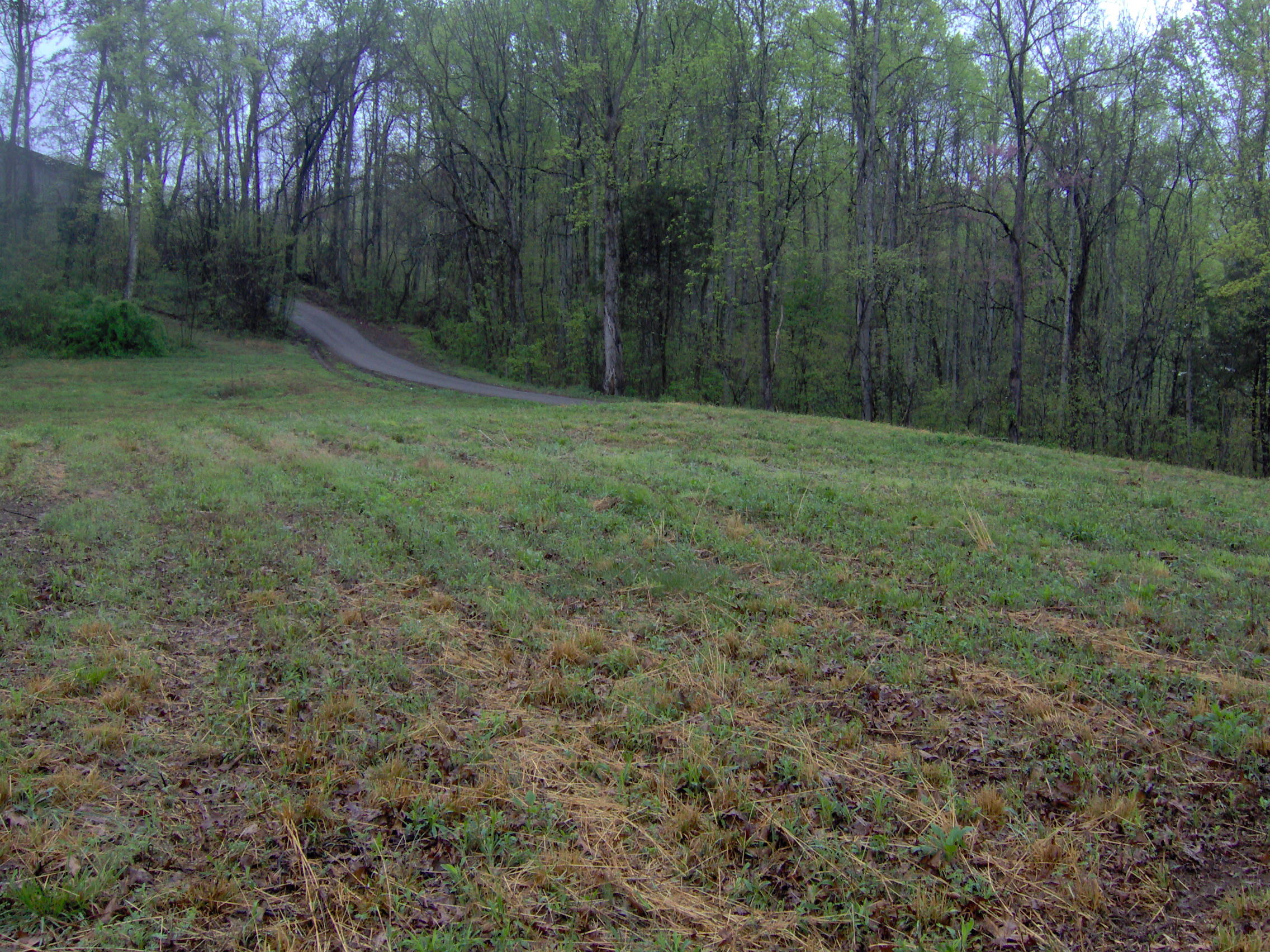141 Williams Ridge Rutledge, TN 37861 - Photo 7 of 9 007