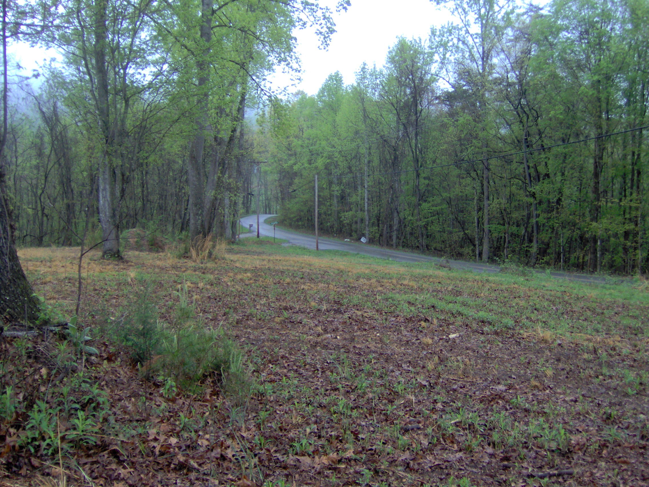 141 Williams Ridge Rutledge, TN 37861 - Photo 9 of 9 009