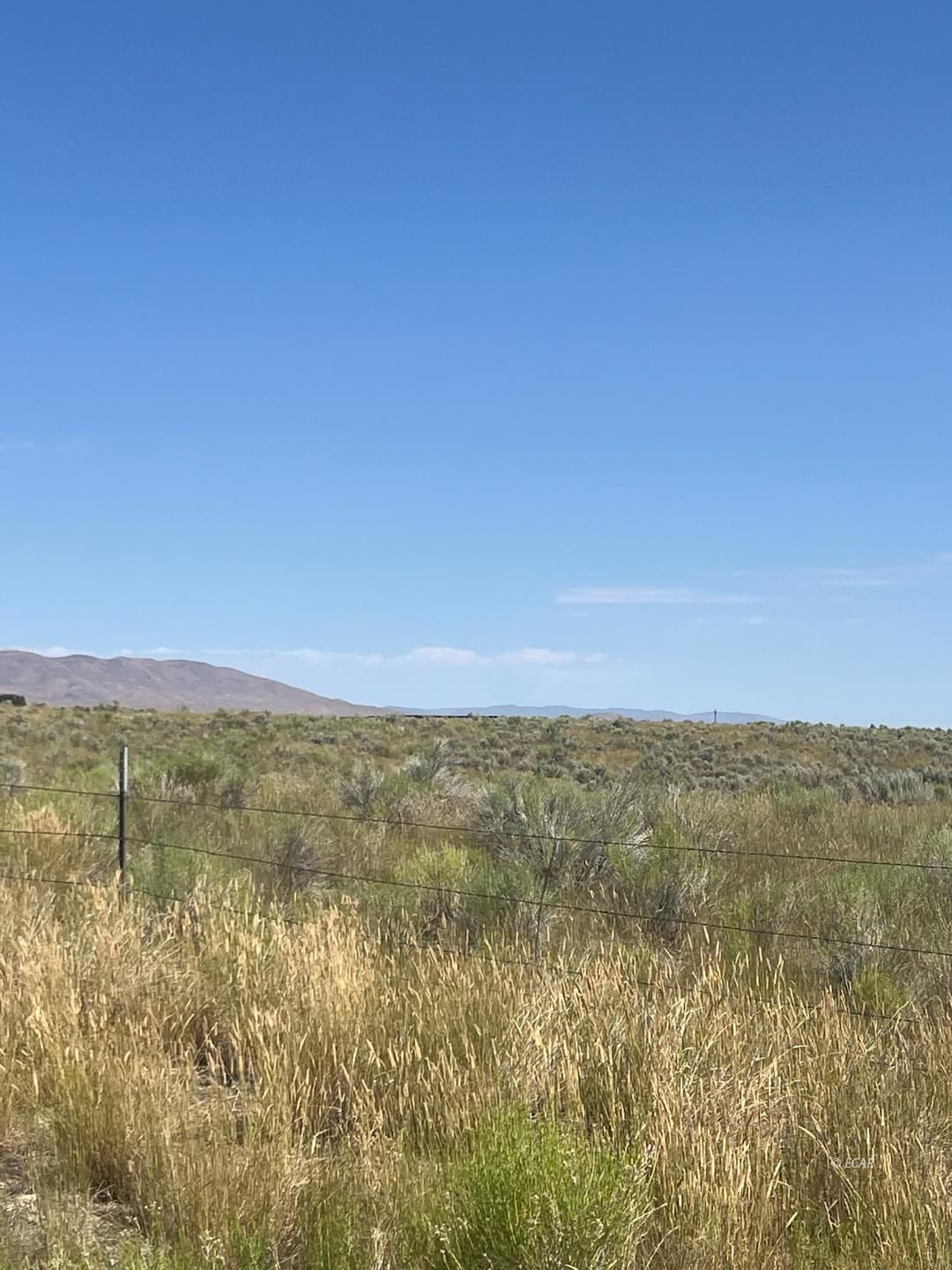 10 Hog Tommy Road Lamoille, NV 89828 - Photo 2 of 8