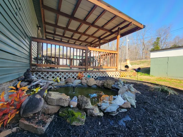 a view of dirt yard with a large tree