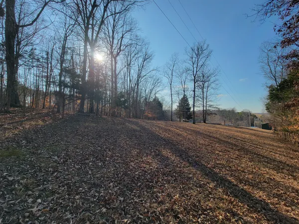 a backyard of apartments with large trees