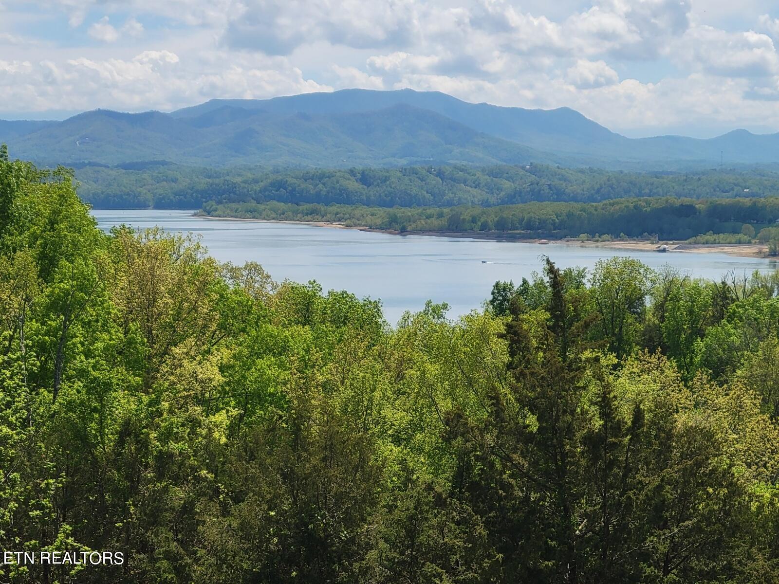 Lakeshore Drive Newport, TN 37821 - Photo 4 of 14 View from Lot 35