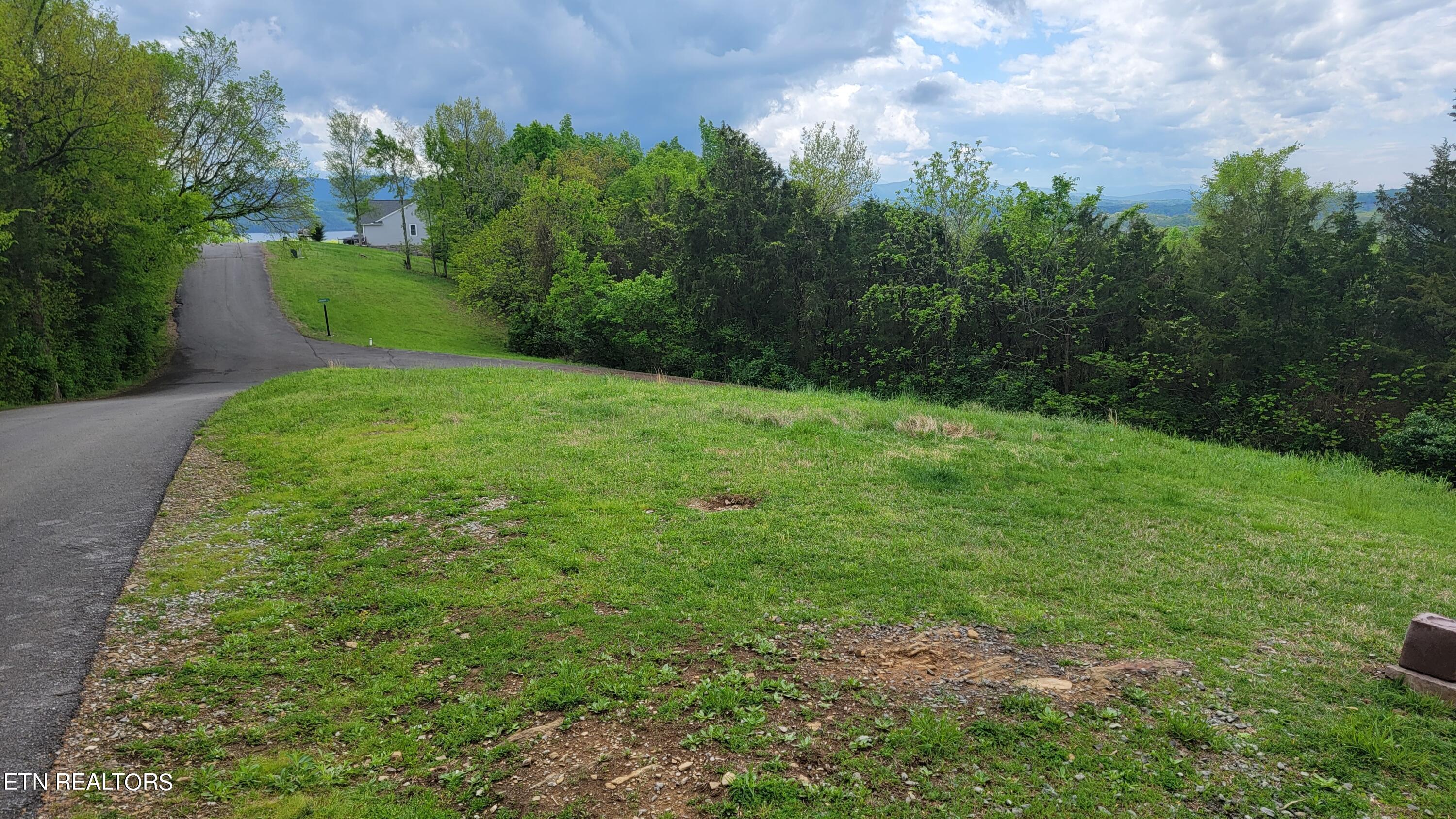 Lakeshore Drive Newport, TN 37821 - Photo 8 of 14 Views Coming and Going