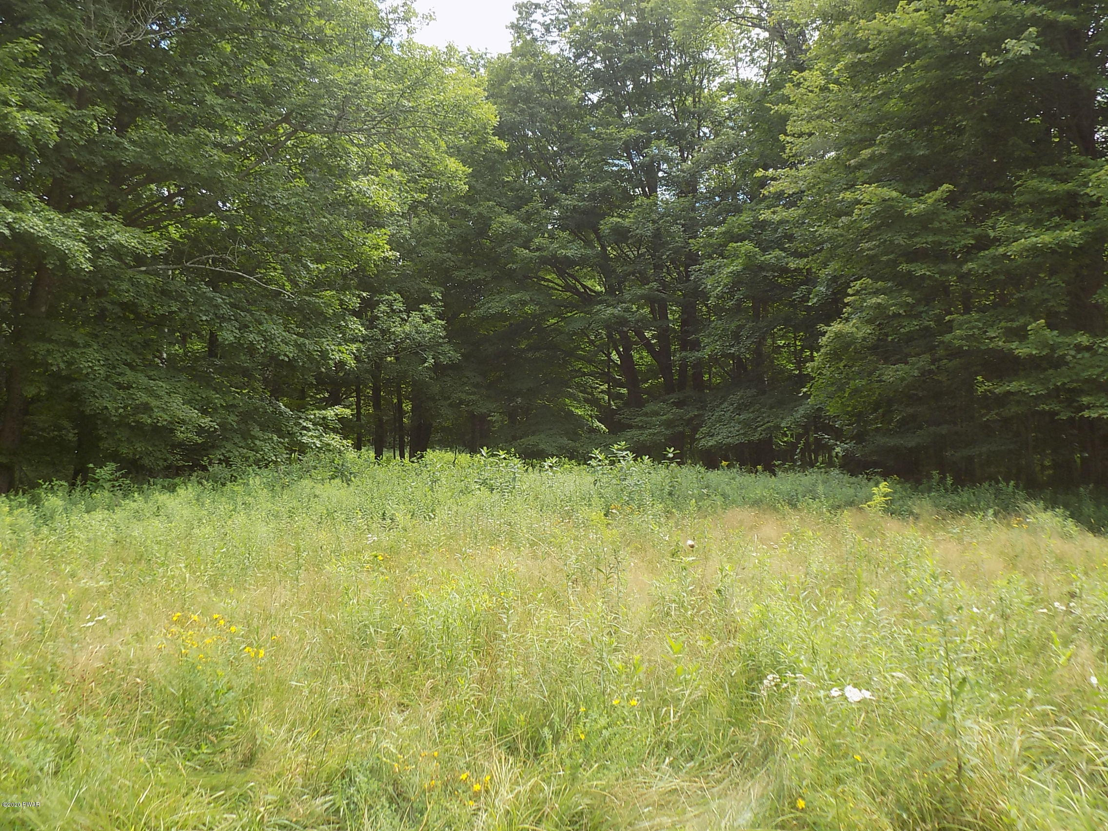 Lot 9 Phillips Road Newfoundland, PA 18445 - Photo 15 of 17