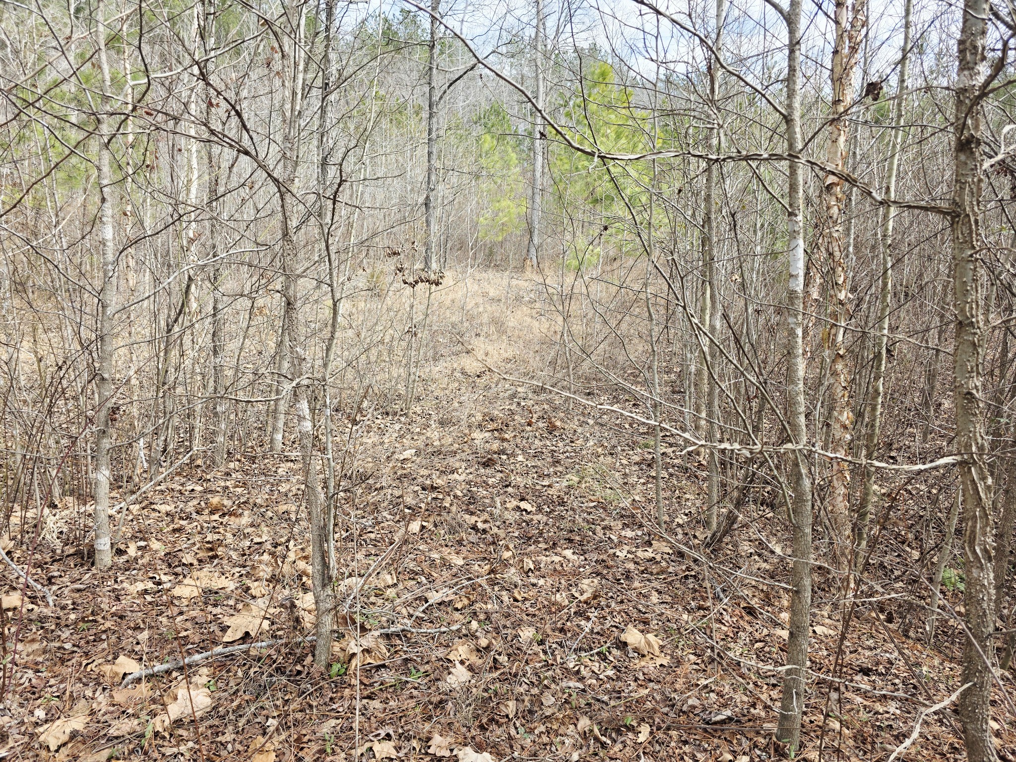 0 Birdsong Road Holladay, TN 38341 - Photo 13 of 70
