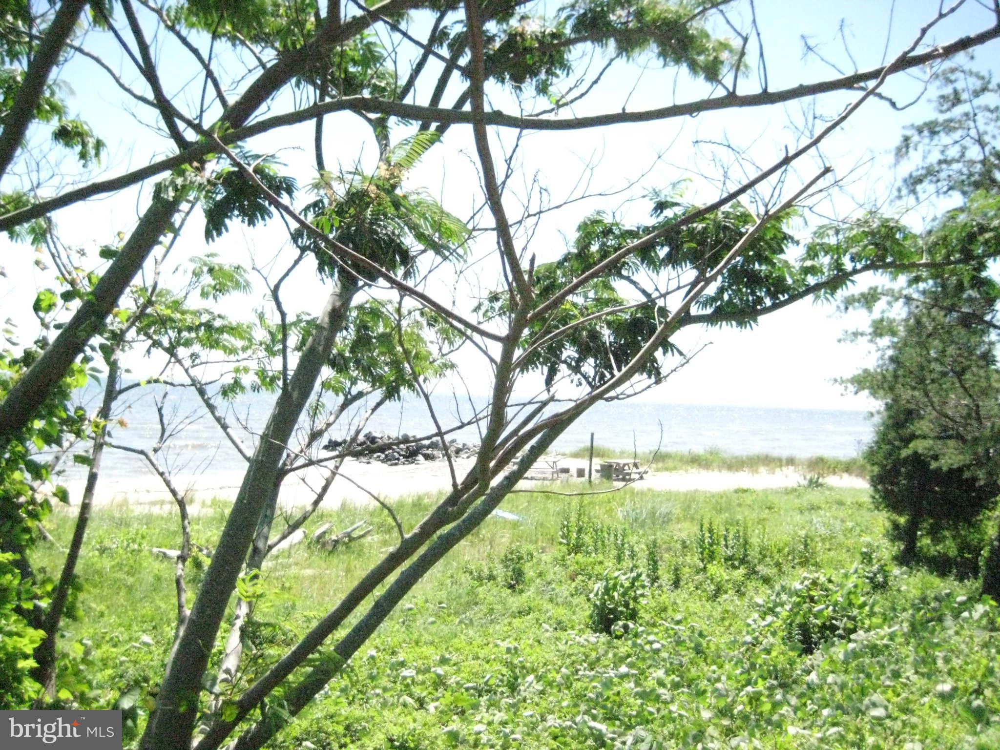 2019 Daffodil Road Port Republic, MD 20676 - Photo 4 of 28 Community Beach