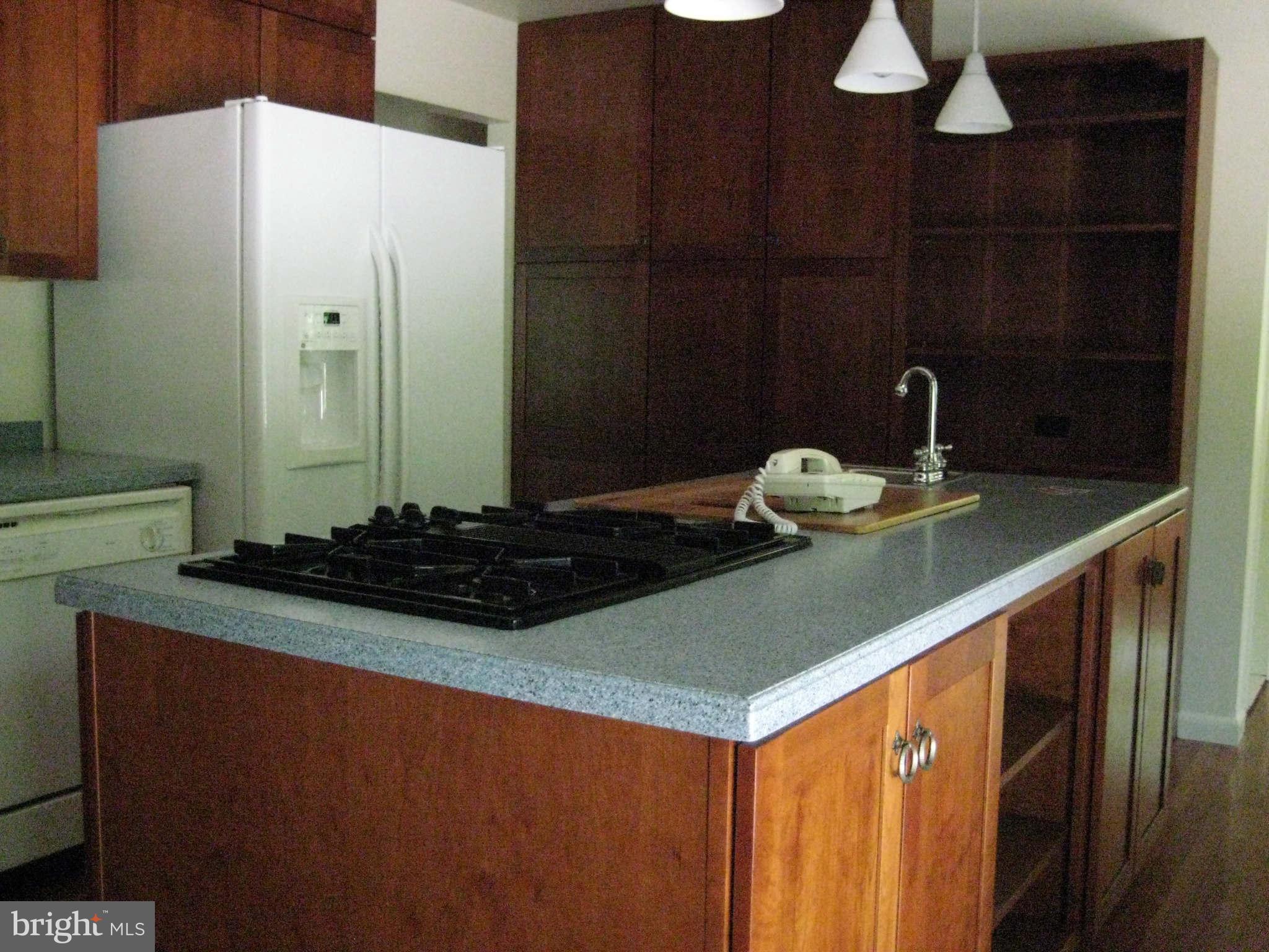 2019 Daffodil Road Port Republic, MD 20676 - Photo 8 of 28 Kitchen 1