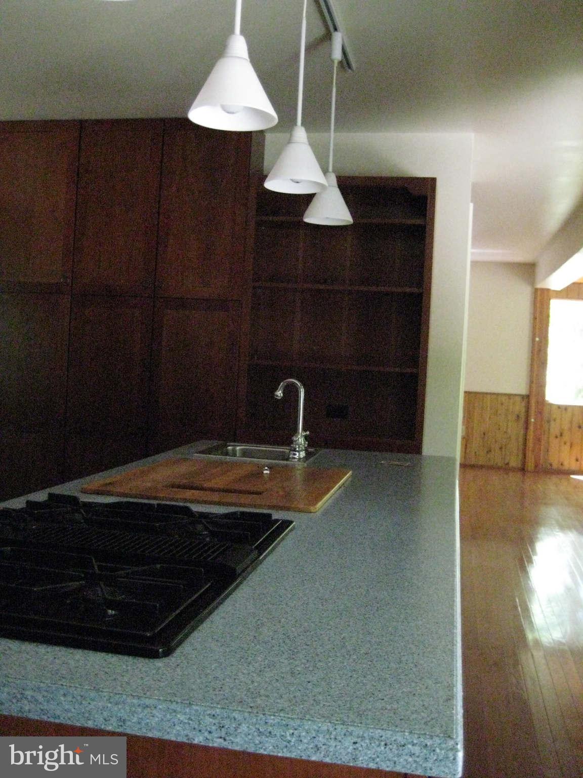 2019 Daffodil Road Port Republic, MD 20676 - Photo 10 of 28 Kitchen 3