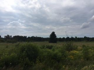 80-acres South Maple Road Brimley, MI 49715 - Photo 4 of 6 Gallery Image 4
