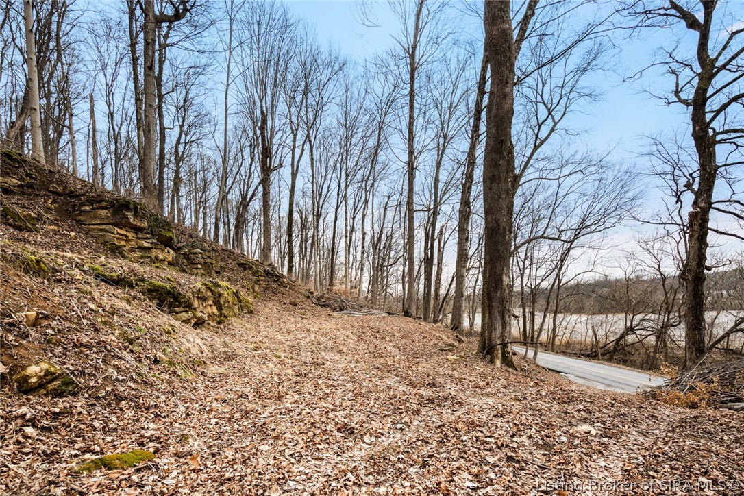 0 Rose Island Road Prospect, KY 40059 - Photo 5 of 28