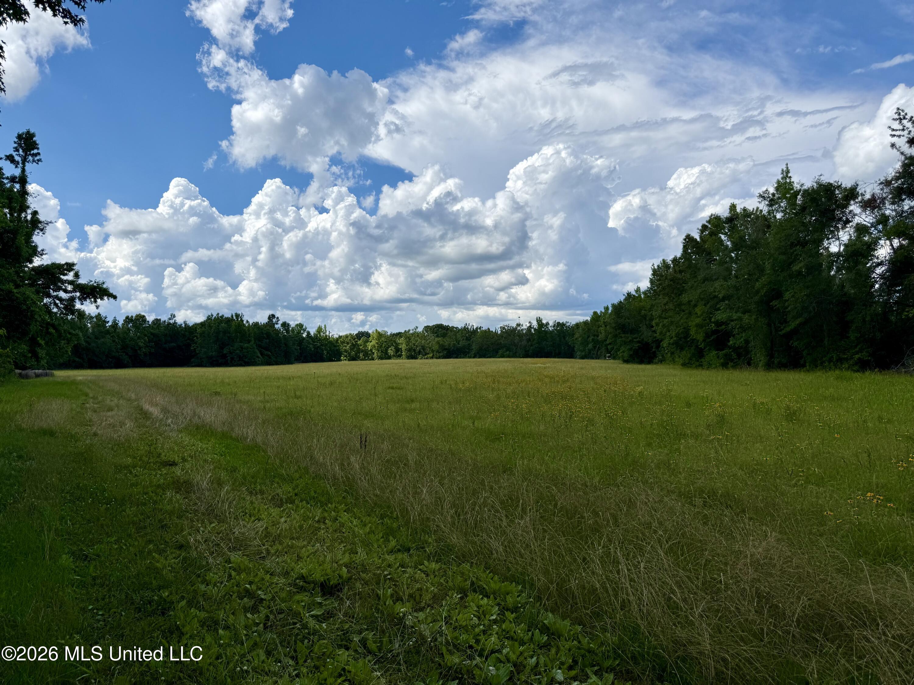 2900 Rockport Rd A Lexington, MS 39095 - Photo 38 of 59 Photo May 29 2026, 3 33 24 PM