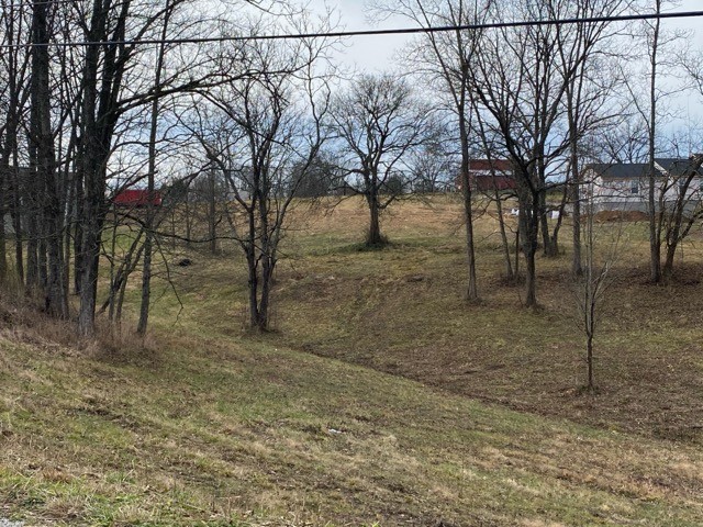 2 Lower Helton Road Alexandria, TN 37012 - Photo 4 of 4